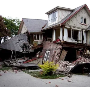 Earthquakes And Other Disasters Wellington