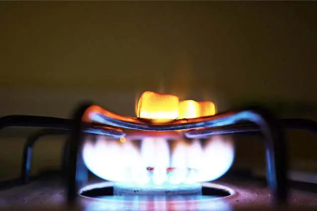 Importance of Gas Appliance Servicing