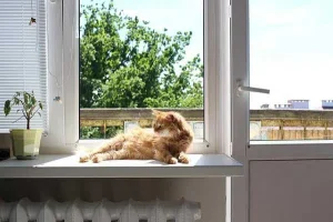 Best home heating tips in New Zealand