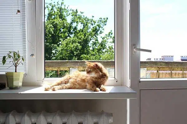 Best home heating tips in New Zealand
