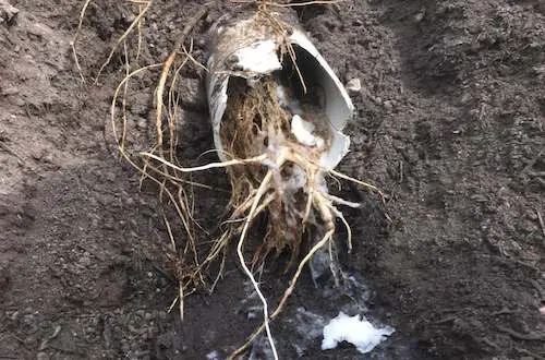 Wellington Drainlayers. Drainlayers Wellingtont. Blocked Drains, Drainlayers Wellington, Wellington CCTV camera inspection, drain layer Wellington, drainlayer.