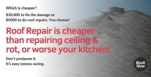 roof-repair-cost-wellington-southern-plumbing