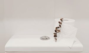Guide to Different Types of Toilets in New Zealand