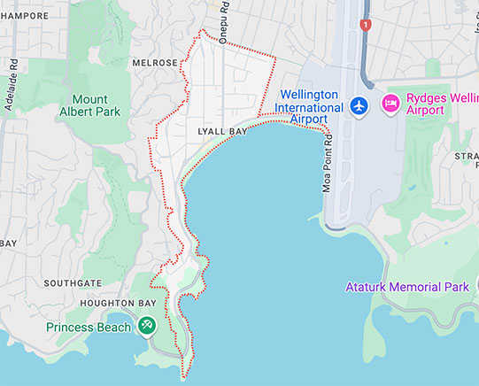 Lyall-Bay-roof-repairs-near-me