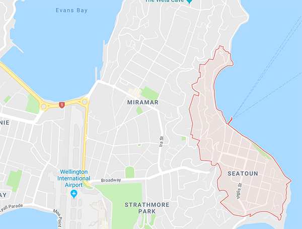Seatoun roof repairs