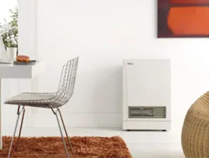 Rinnai-energysaver-gas-heaters-Wellington-Home-Heating.jpg