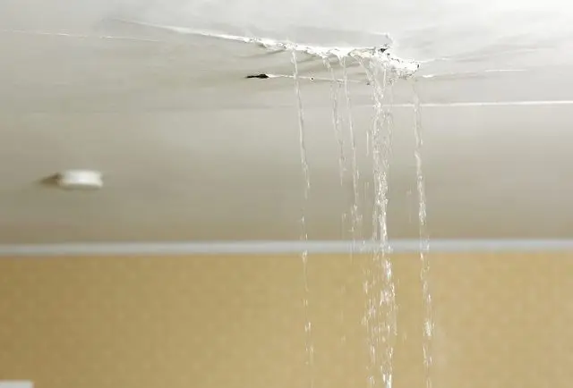 Roof-Leaks-Repair-Replacement-Wellington