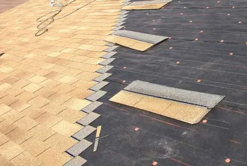 Roof-Repairs-Roofing-Services-Experts-Wellington