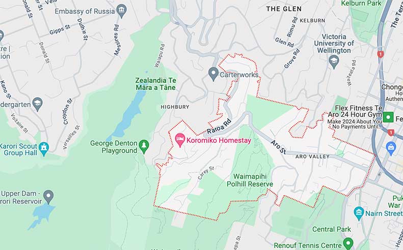 Aro Valley Plumbers - Emergency Aro Valley Plumbing