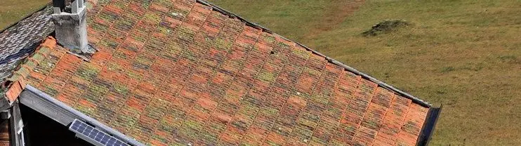 Roof Leak Investigation Special Offer
