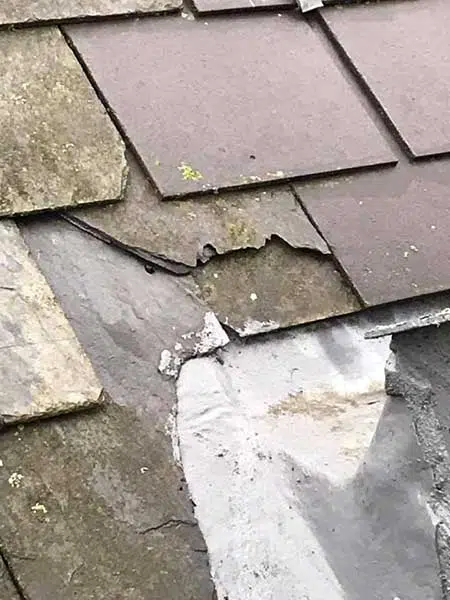 roof-leak-repair-wellington-southern-plumbing.jpg