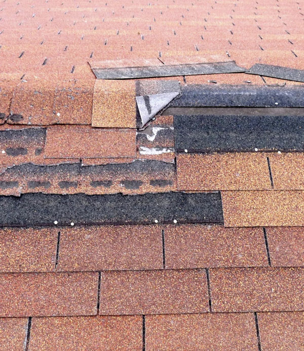 roofing-shingles-replacement-wellington
