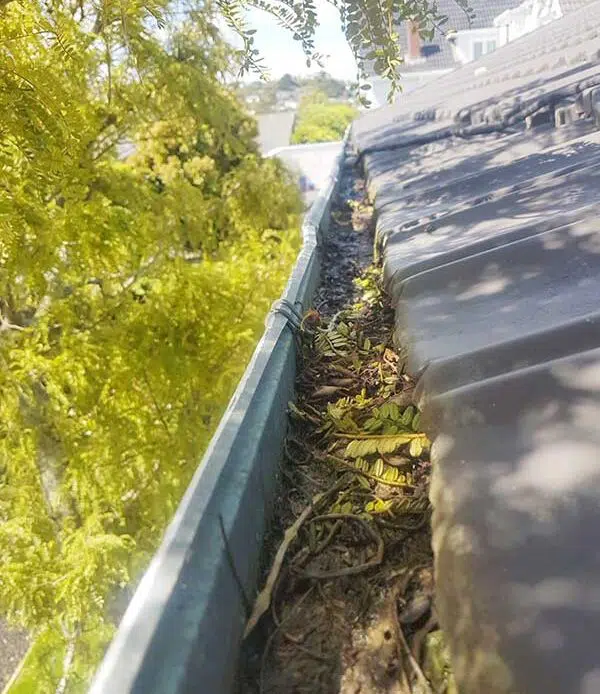 Roofing Wellington