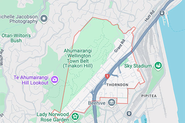 thorndon-plumbing-plumbers-near-me